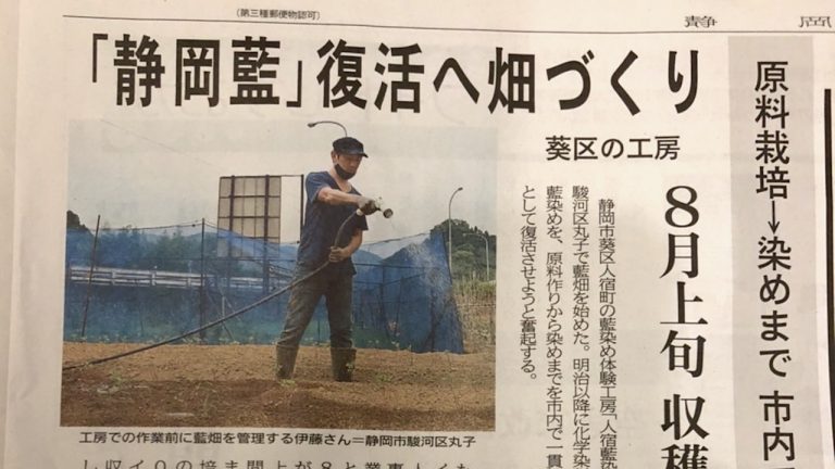 藍畑の様子を取材していただきました！6/7の静岡新聞朝刊をご覧ください
